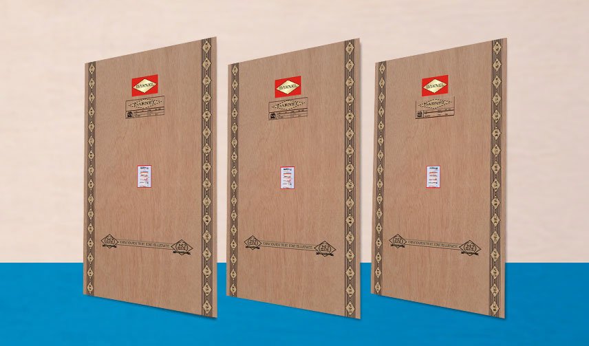 Plywood Manufacturer in Haryana